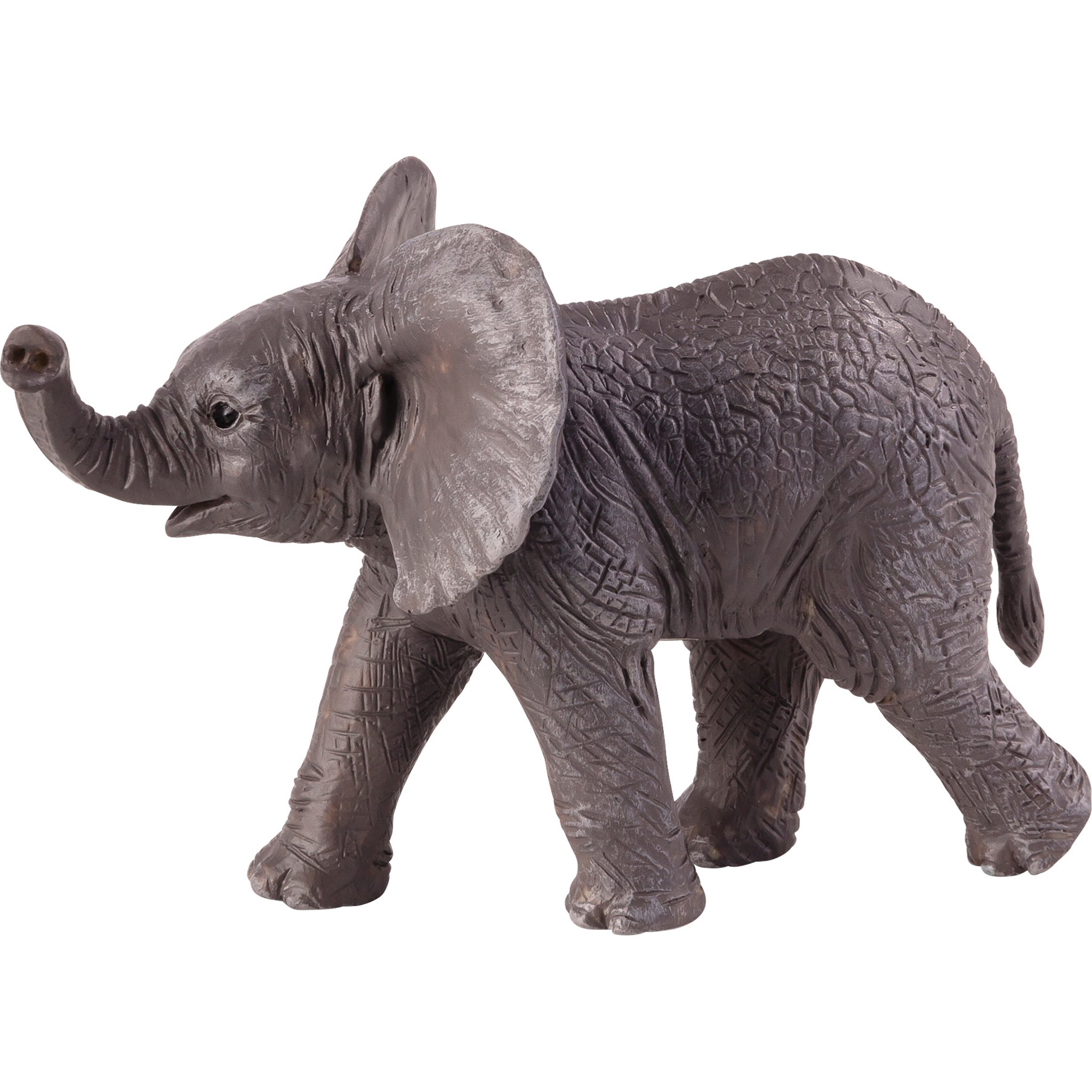 Asian Elephant – Hauck North America