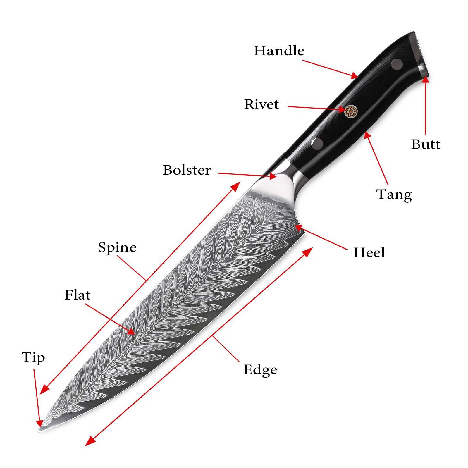 The Parts of a Kitchen Knife