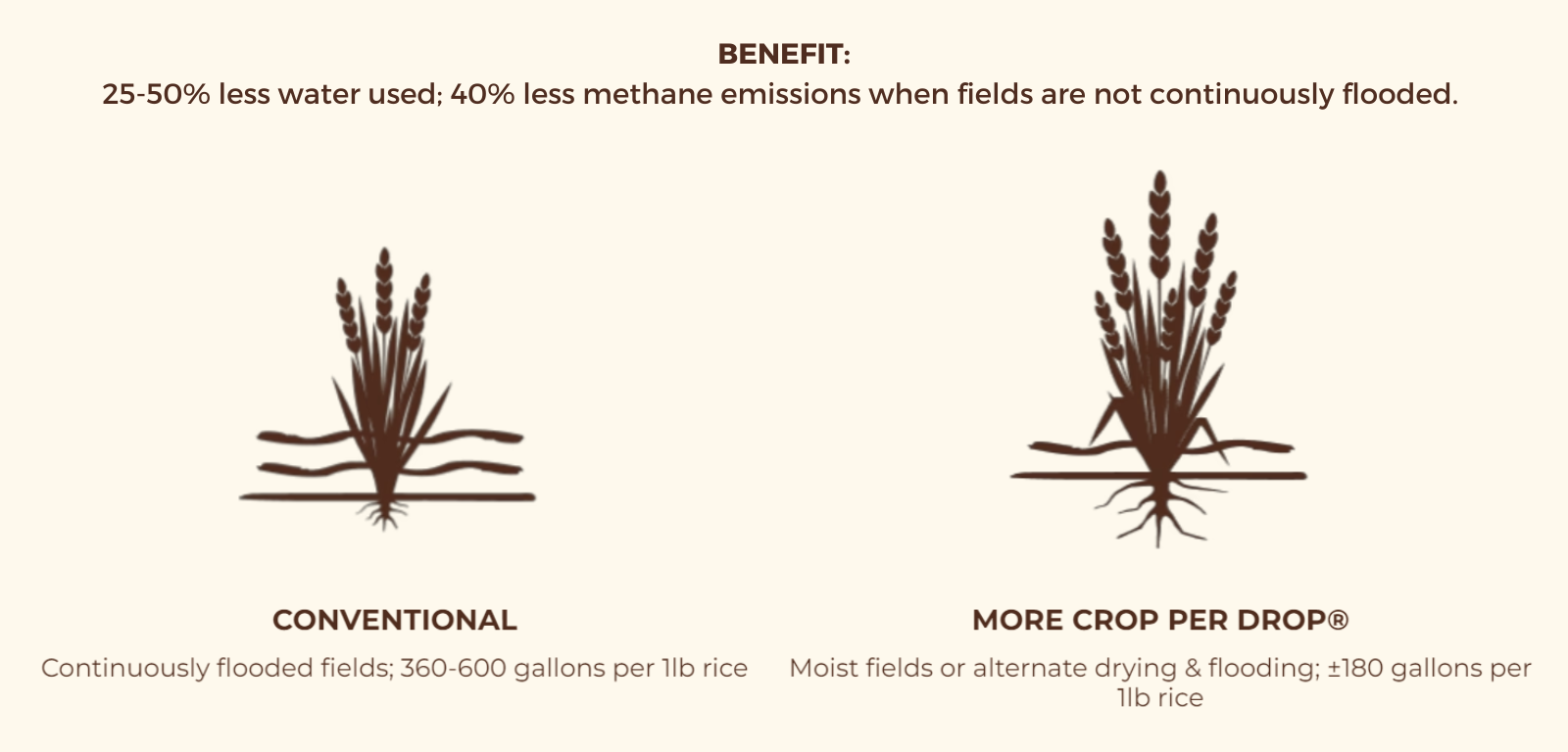 CONVENTIONAL Continuously flooded fields; 360-600 gallons per 1lb rice   MORE CROP PER DROP® Moist fields or alternate drying & flooding; ±180 gallons per 1lb rice     BENEFIT: 25-50% less water used; 40% less methane emissions when fields are not continuously flooded.