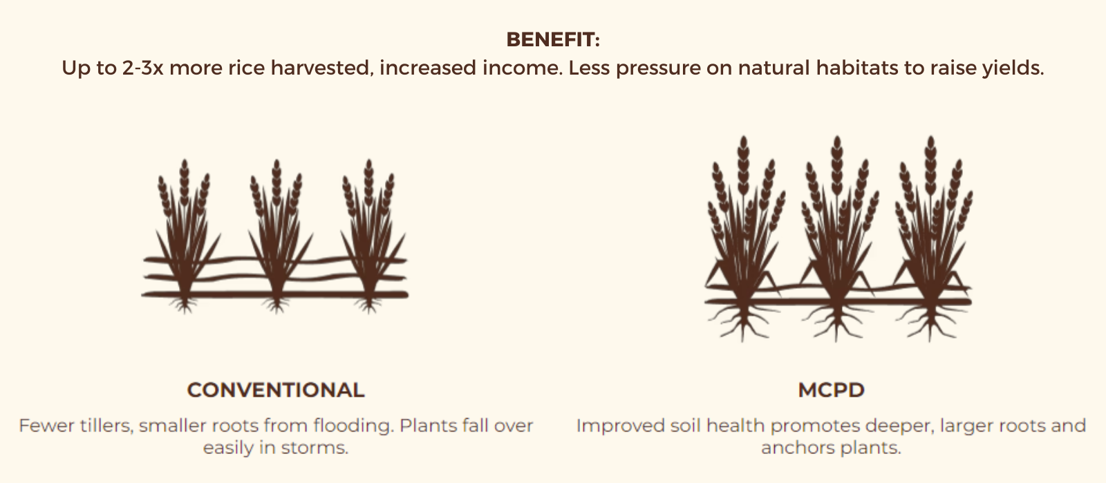 More Crop Per Drop Yield Benefits