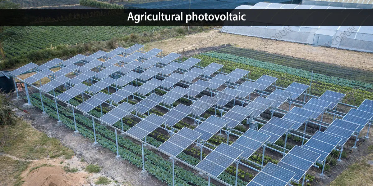Agricultural photovoltaic