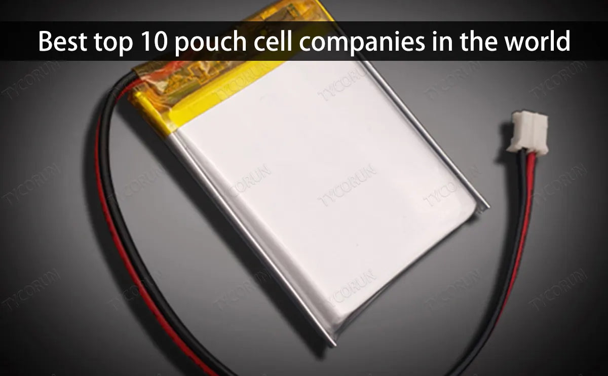 Best top 10 pouch cell companies in the world