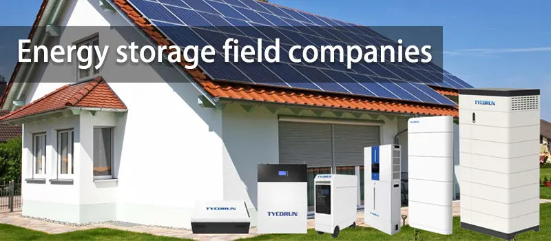 Energy storage field companies