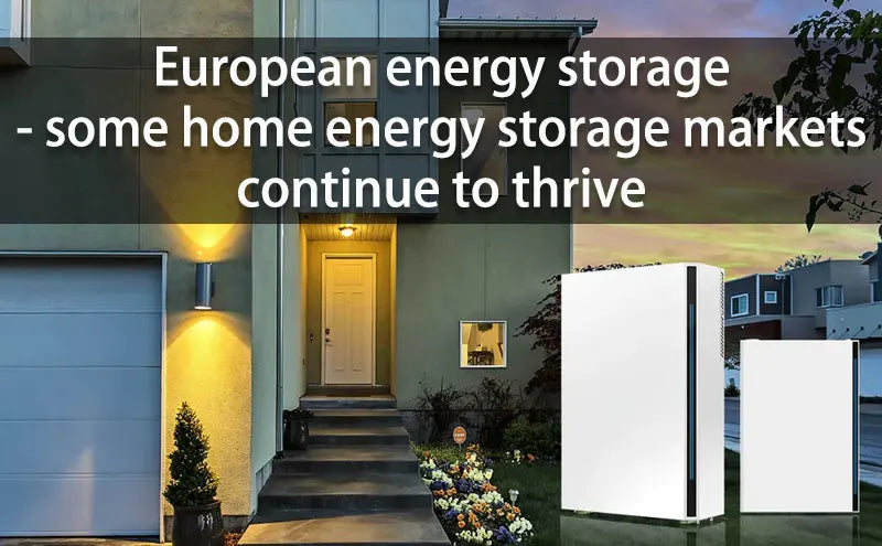 European energy storage - some home energy storage markets continue to thrive