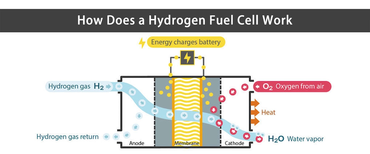 How Does a Hydrogen Fuel Cell Work