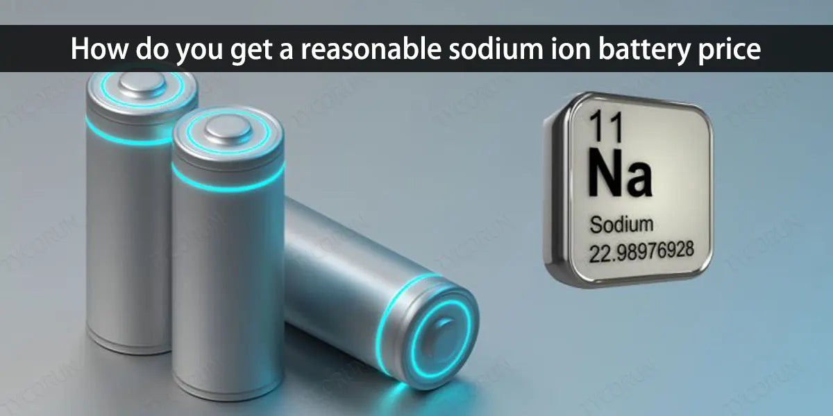 How do you get a reasonable sodium ion battery price