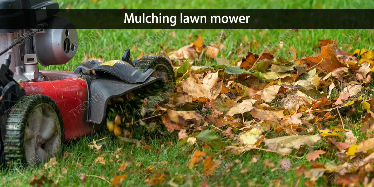Mulching lawn mower