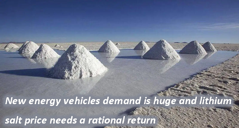 新能源汽车需求巨大 锂盐价格需理性回归