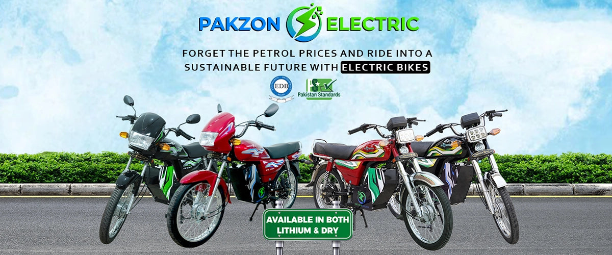 Pakzon Electric web