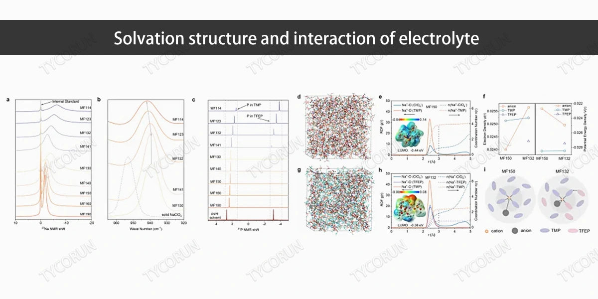 Solvation structure and interaction of electrolyte