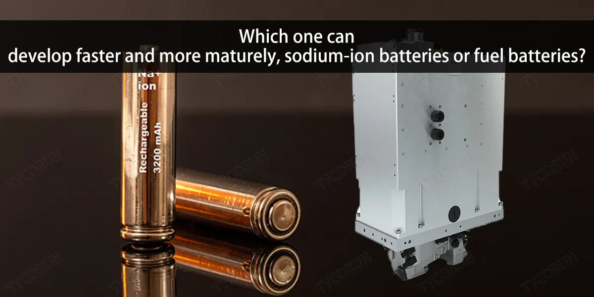 Which-one-can-develop-faster-and-more-maturely,-sodium-ion-batteries-or-fuel-batteries