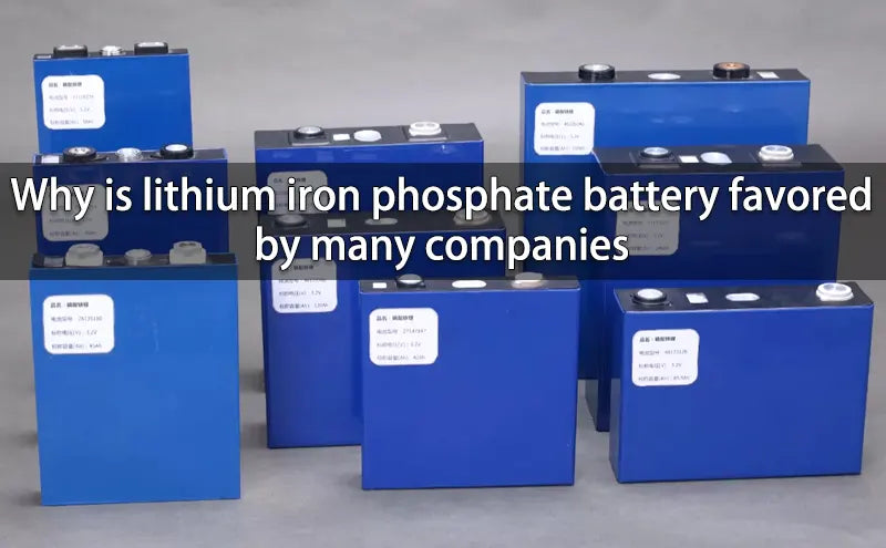 Why is lithium iron phosphate battery favored by many companies