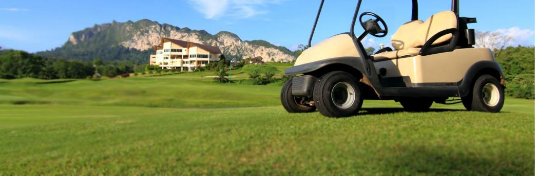 What types of batteries are used in golf carts?