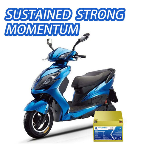 Do we use 24v lithium ion battery in the electric bike?
