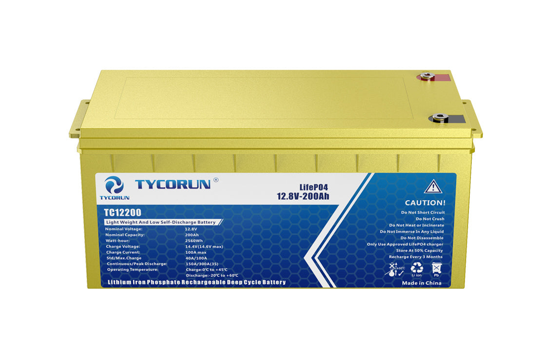 12V 200Ah Lithium Iron LiFePO4 Deep Cycle Battery, Built-in 100A