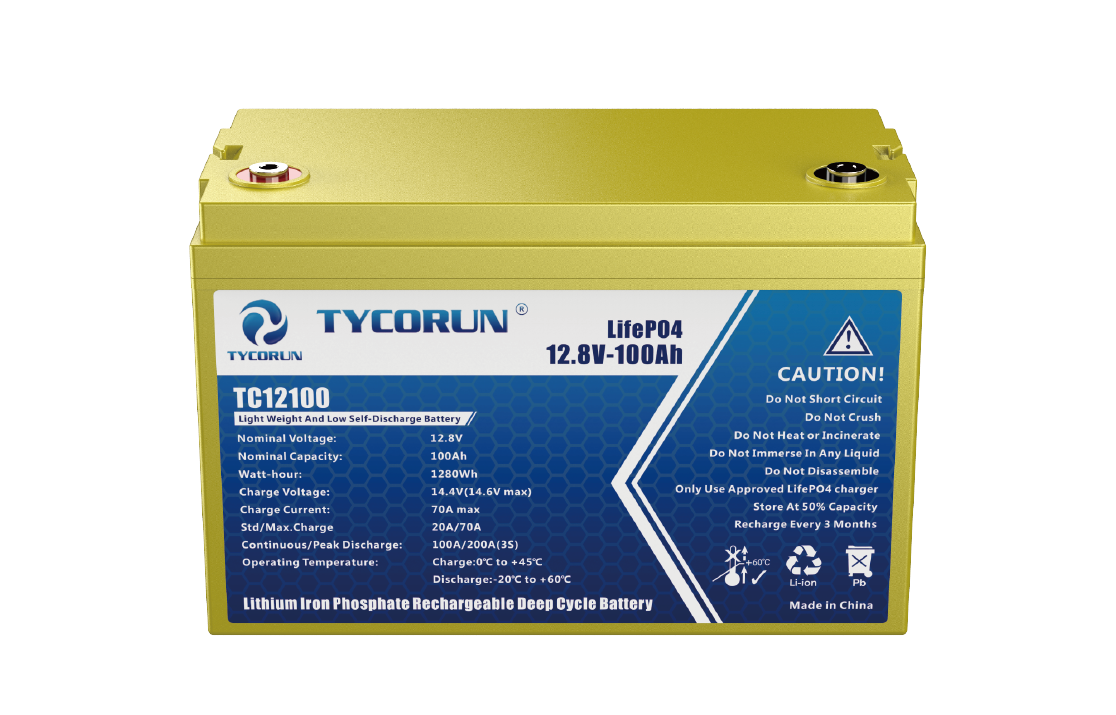 TEEV 12V 100Ah Lithium Ferro Phosphate (Lifepo4) 100% Maintenance Free  Battery
