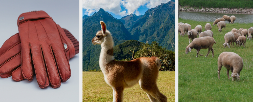 Vergleich mit anderen Materialien: Alpaka-Wolle, Leder und Schafwolle • Andes Alpaca