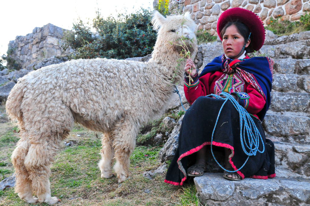 Aimara Mädchen mit einem Alpaka