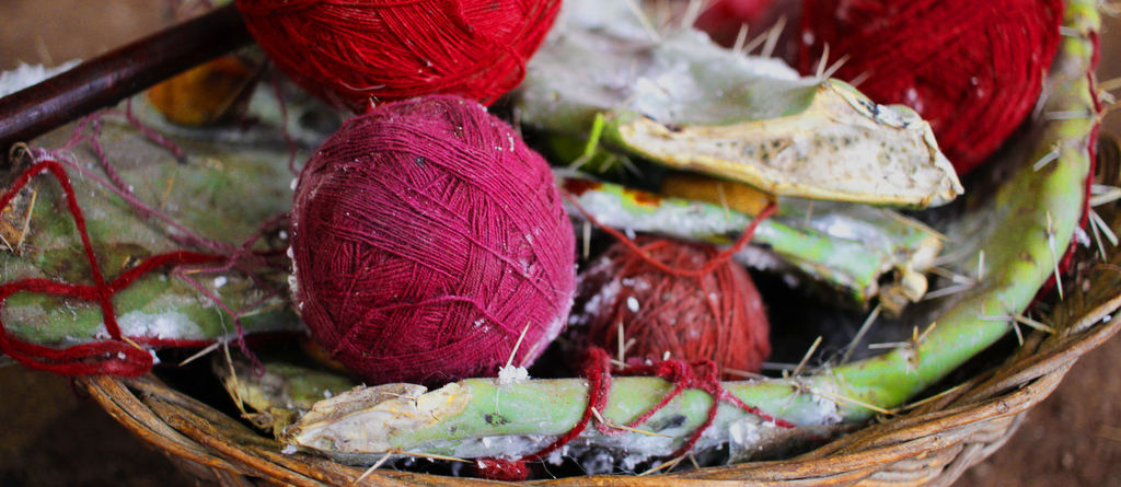 Différentes couleurs de laine d'alpaga