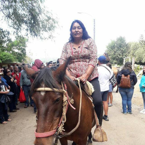 Justa Querquezana | Craftswoman of Andes Alpaca