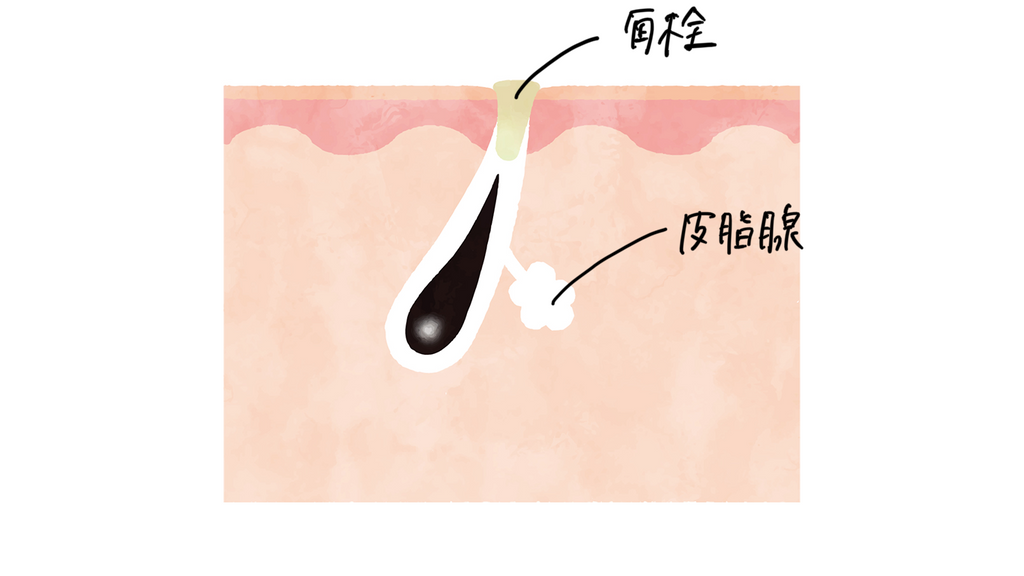 つまり毛穴