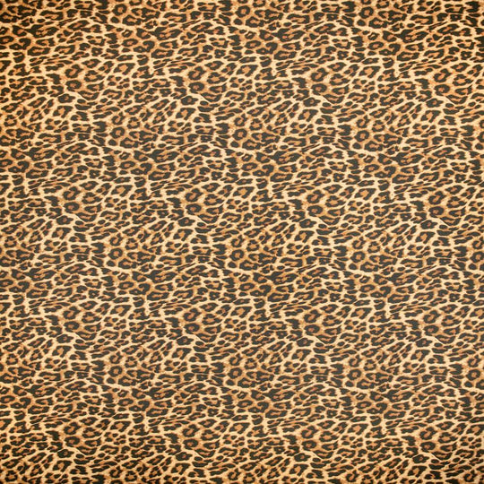 Leopard Print Apparel