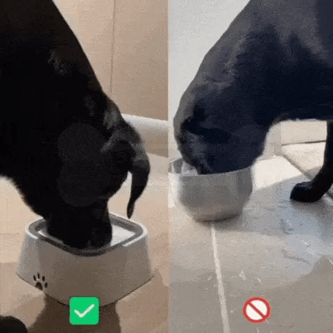 Bebedouro Inteligente Anti Respingo para Cães - Zero Splash™ – Ideia  Shopping