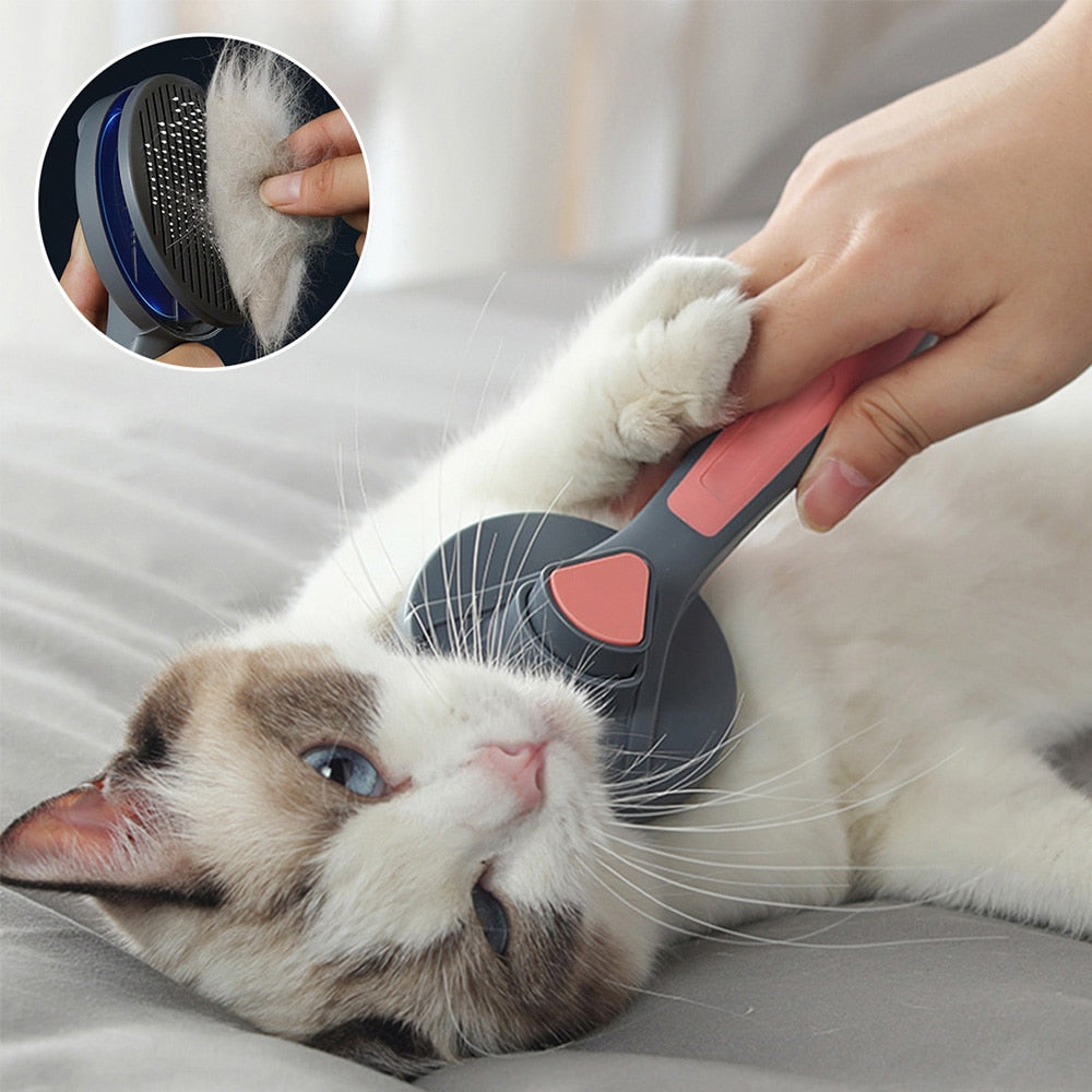 Cat Comb Brush - All of your cats product image