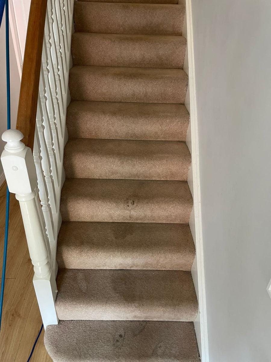 carpet cleaning professionals cheshire