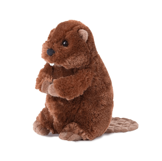 Buddy Beaver