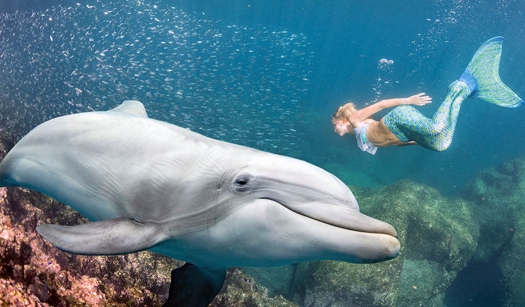 une sirène nage avec un dauphin