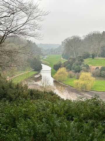 Fountains Abbey perfect picnic spot