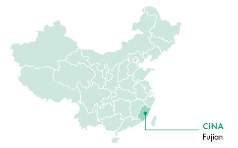 Fujian | China