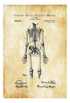 Simple Anatomical Skeleton Patent Print 1911 - Doctor Office Decor, Nurse Gift, Medical Art, Medical Decor, Medical Poster, Doctor Gift Art Prints mypatentprints 10X15 Parchment 