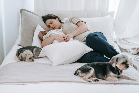 Mother and baby laying on a bed with two dogs