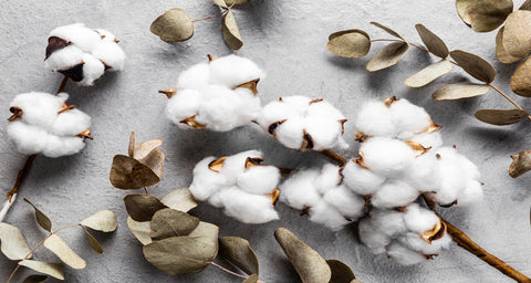 3.1	Eco-friendly Organic Cotton
