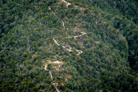 Old Ghost Road