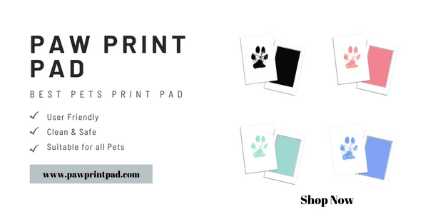 Pet Paw Print Pad