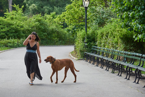 Andy and Koa walking in Central Park