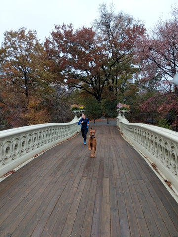 Andy and Koa running in Central Park