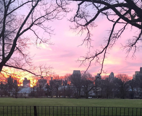 Sunrise at Central Park