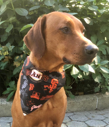 New York Mets Dog Bandana - Dress Up Your Pup