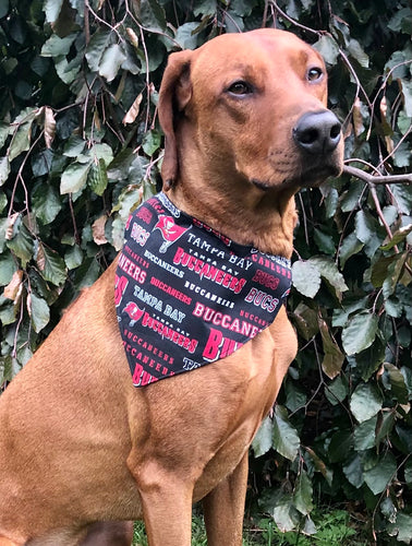 San Francisco Giants Dog Bandana, Personalized with your Pup's