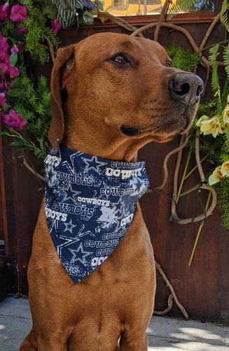 Buffalo Bills Dog Bandana / Buffalo Bills /dogcat Bandana / 