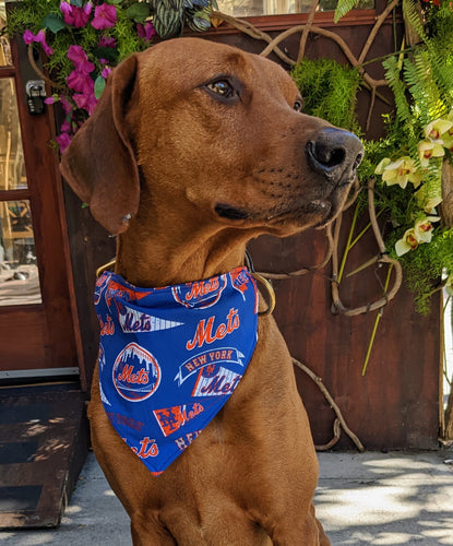 Chicago Cubs Reversable Dog Bandana – Koa's Ruff Life