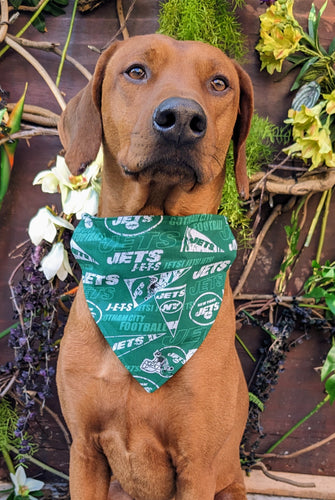 New York Jets Pet Reversible Bandana