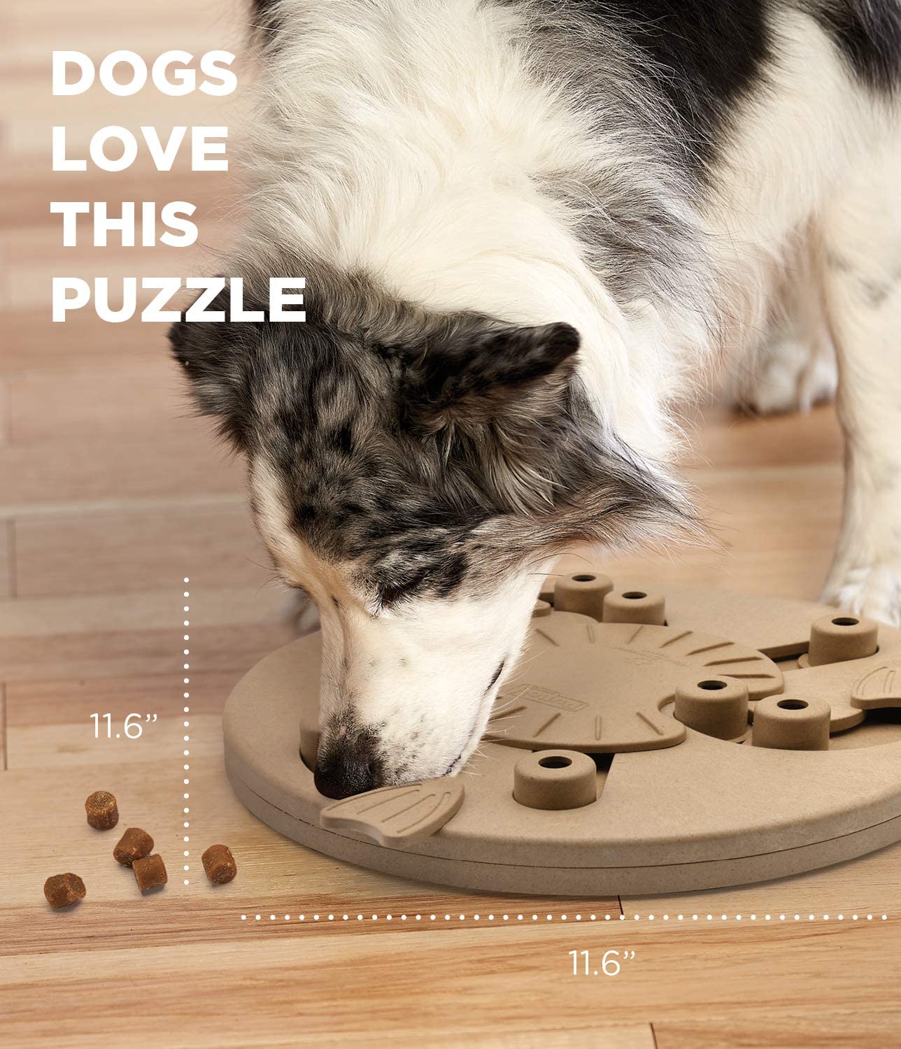 Dog Treat Puzzle - Circle Brown Slide, Place and Play