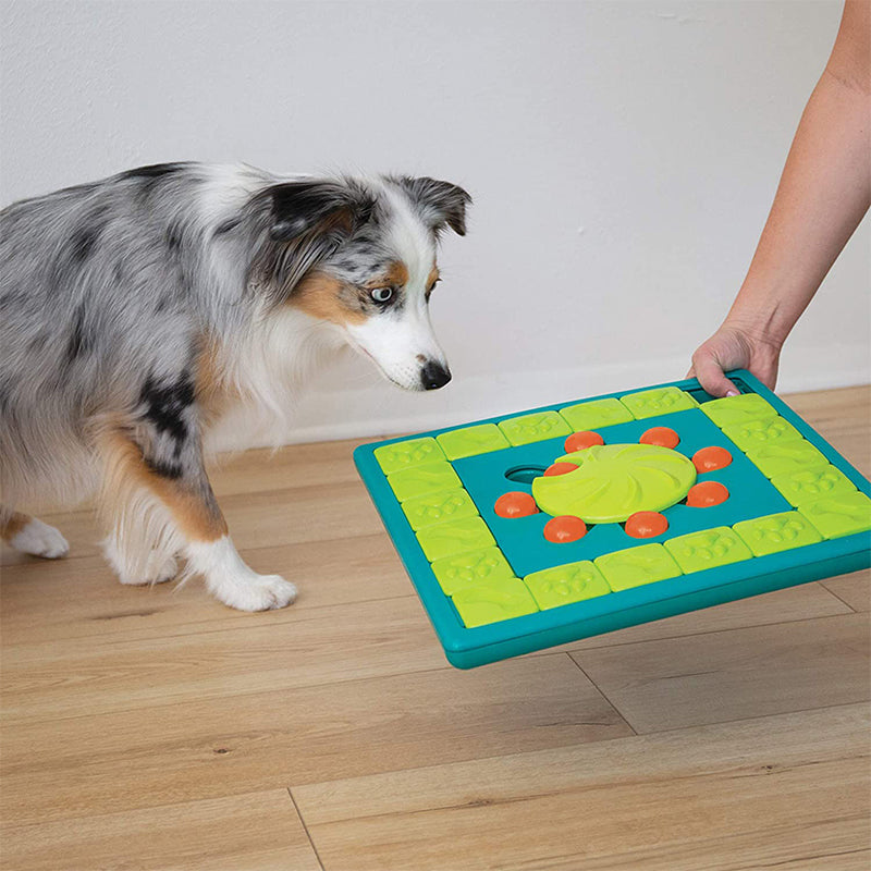 Dog Treat Puzzle Green - Easy to clean