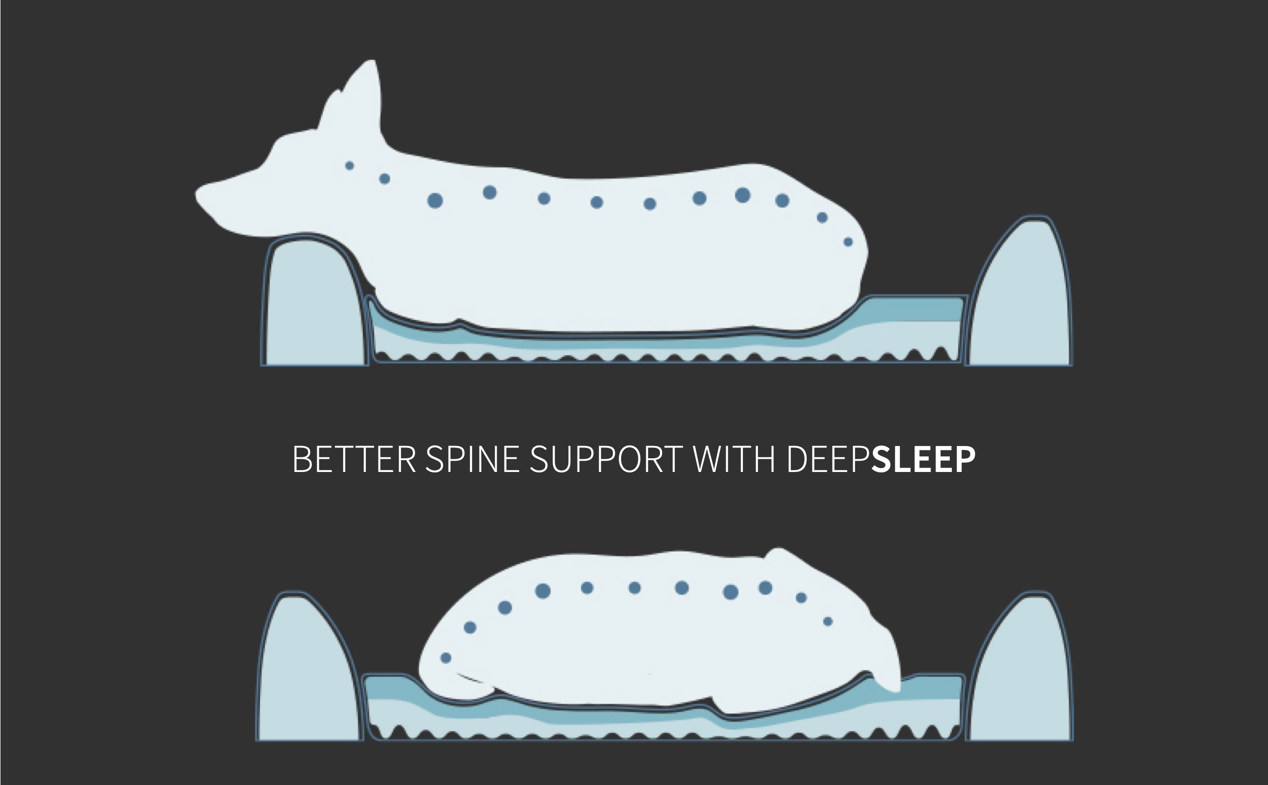 PETKIT Deep Sleep All Season Beds For Pet - A/B Sides Foam