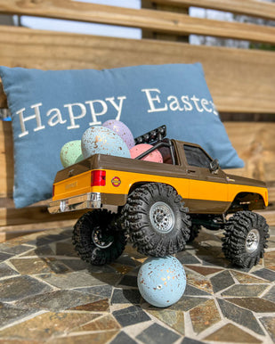 FMS-Easter-Egg-Hunts-RC-Car-Event10.jpg__PID:74234691-4a0a-494f-ac32-d5ca5ab6247a